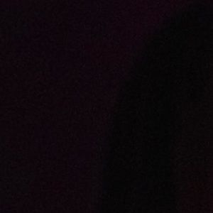 Meet your Posher, Dani